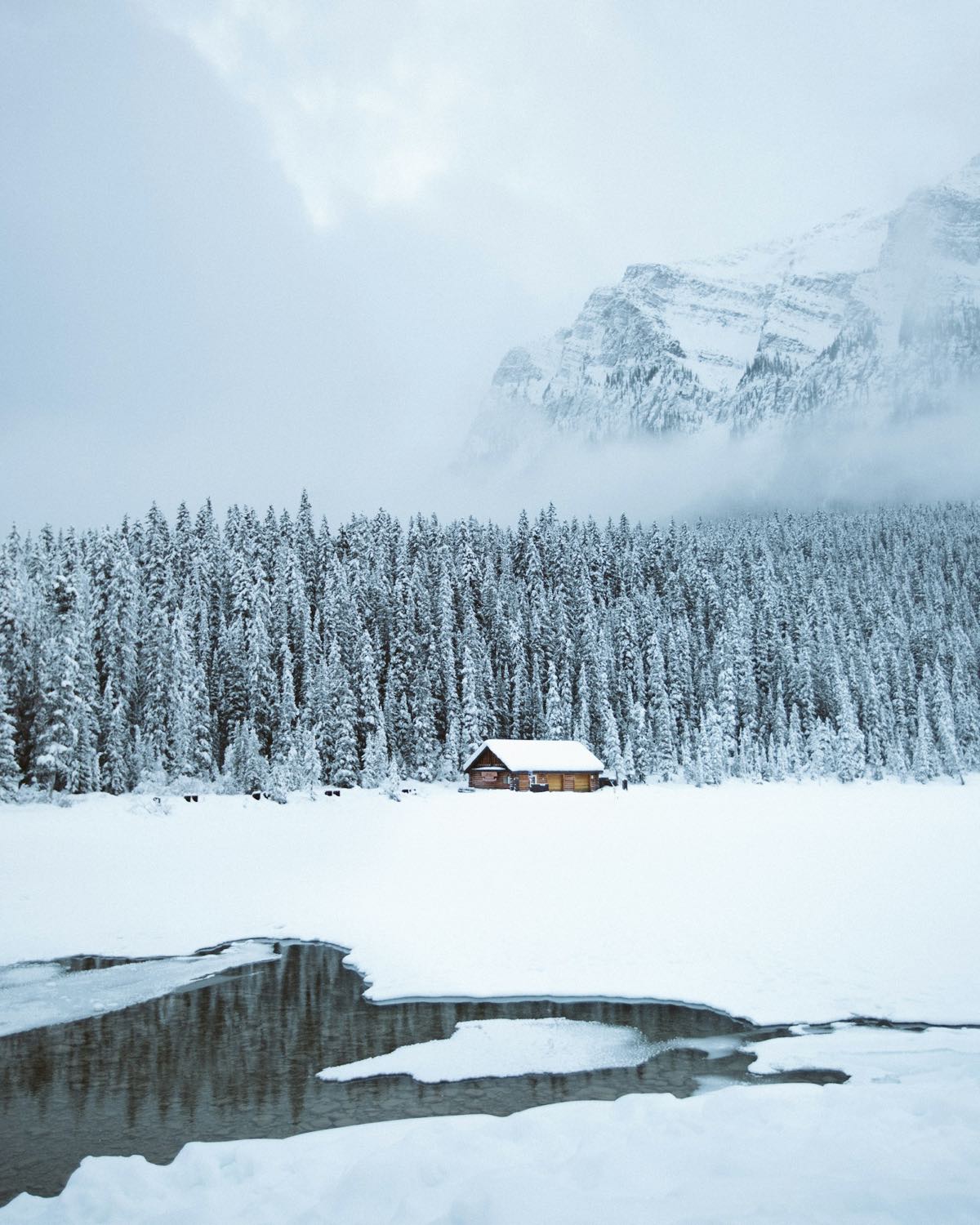A log cabin below a foggy rock face, ringed by snow-plastered spruce