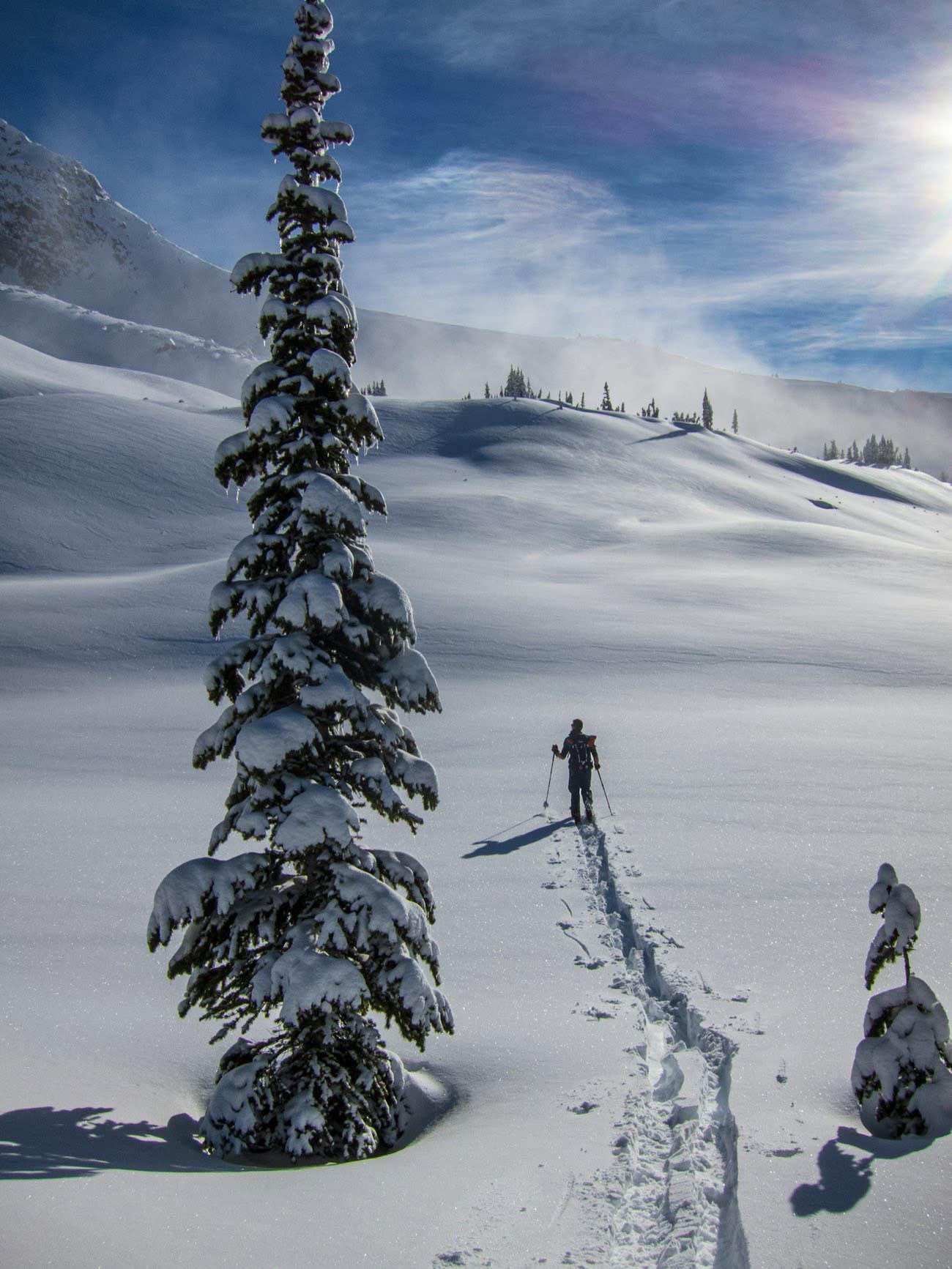 A ski tourer breaking trail through deep snow past a snow-laden spruce, blowing snow on the ridge behind